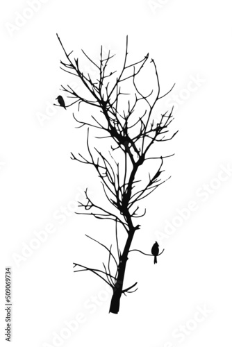 Dead tree silhouette. Tree without leaves clipart. Dry or naked tree vector illustrations.