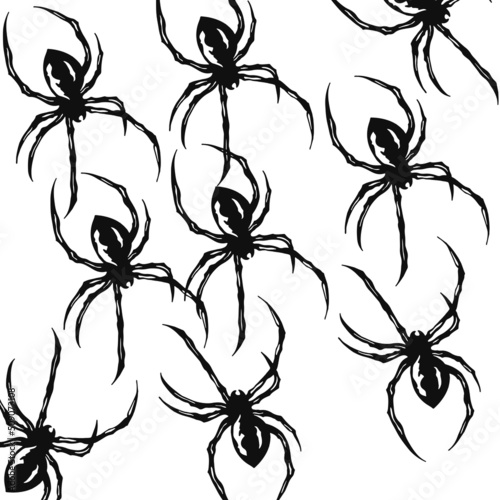 spider silhouette vector for background