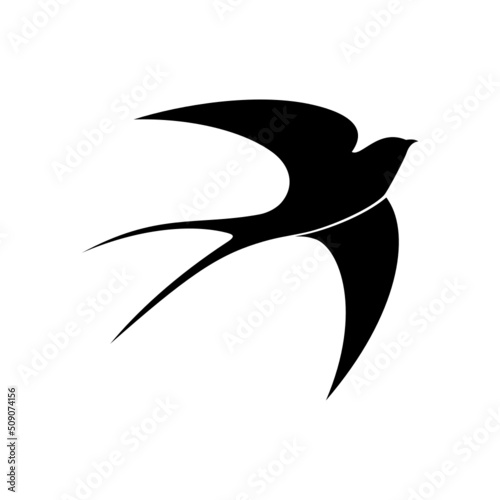 swallow bird logo © joko