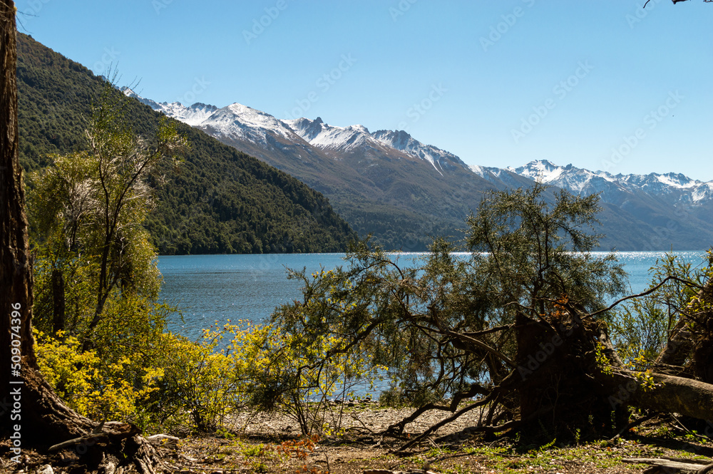 Tree fallen by the root on the shore of a lake with a snowy mountain range in the background. Los Alerces National Park