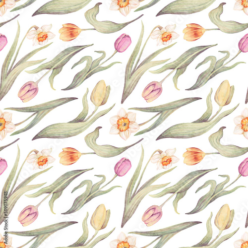 Watercolor floral hand drawn seamless pattern with delicate illustration of blossom daffodils, tulips, narcissus. Colorful spring flowers, buds wallpaper. Garden elements isolated on white background