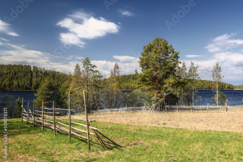 Rural field  fence and shack in the village Gallejaur in northern Sweden