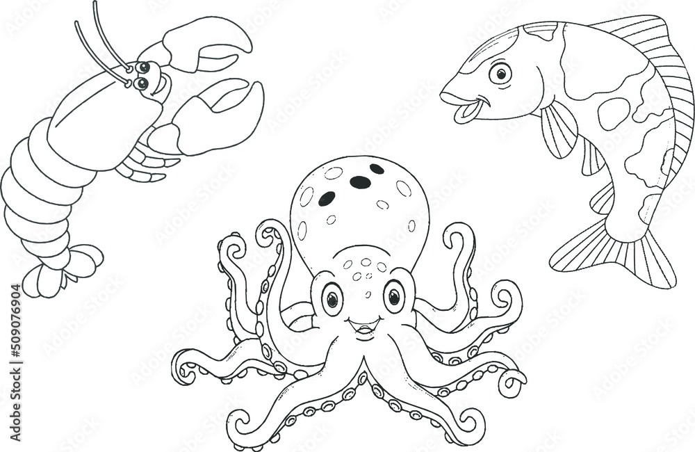 illustration of octopus fish drawing