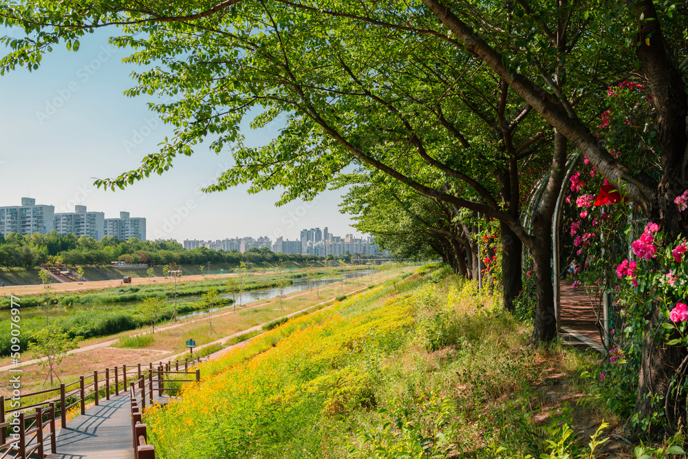 Anyangcheon stream park and city view in Seoul, Korea