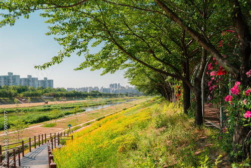 Anyangcheon stream park and city view in Seoul, Korea