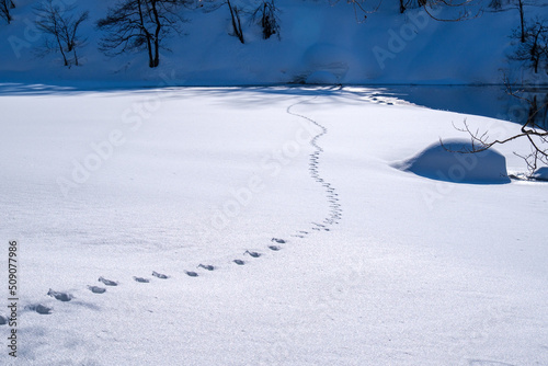 雪景色の足跡