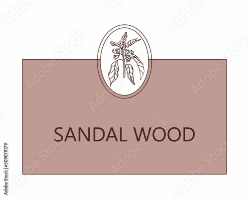 Sandalwood. Pattern with sandalwood leaves and flowers