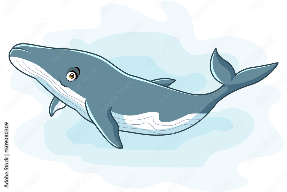 Naklejka premium A cute whale cartoon. vector illustration