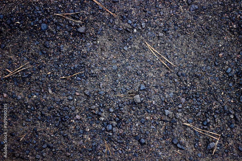 a ground texture background with pieces of grass small rocks pebbles and dirt pine needles a ground texture background with pieces of grass small rocks pebbles and dirt pine needles