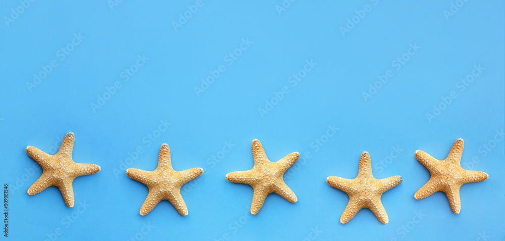summer background wallpaper banner starfish on a blue background with a place for text decoration