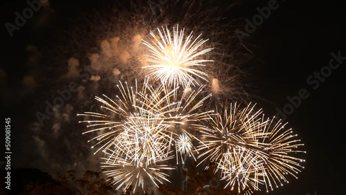Golden Firework celebrate anniversary happy new year 2023, 4th of july holiday festival. Gold firework in the night time celebrate national holiday. Countdown to new year 2022 gold party time event