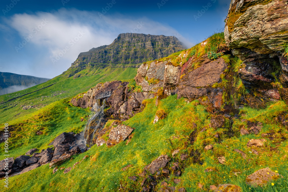 Obraz premium Small waterfall near Sydradalur village, Streymoy island. Fresh green view of Faroe Islands, Kingdom of Denmark, Europe. Beauty of nature concept background.