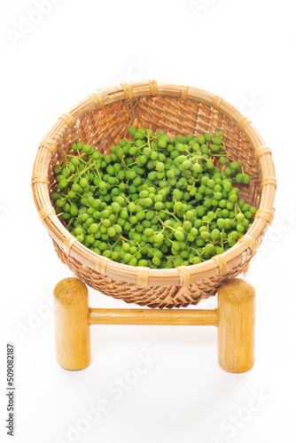 Harvested green Japanese peppercorn (Zanthoxylum piperitum) for cooking