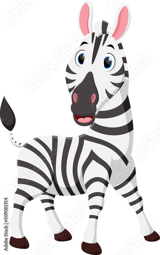 Happy Zebra cartoon isolated on white background