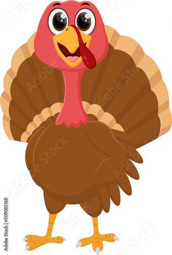 funny turkey bird Cartoon, isolated on white background