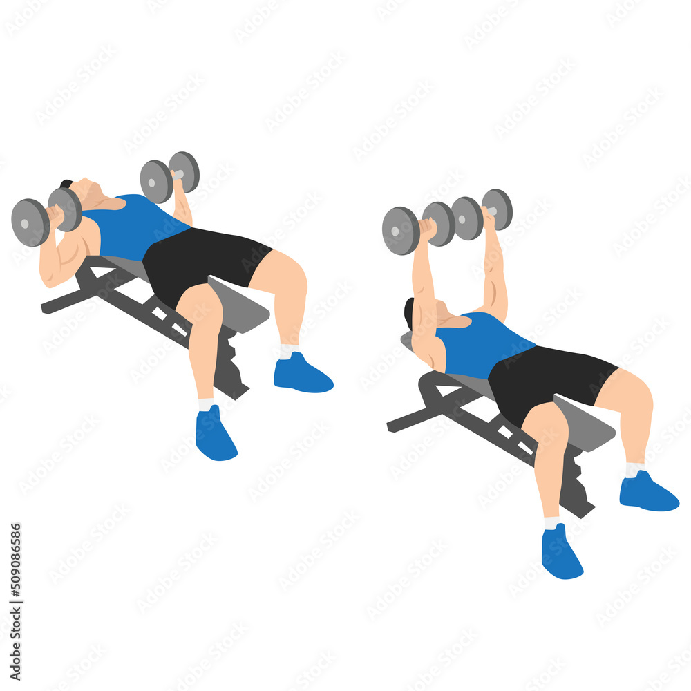Man doing dumbbell flat bench press. Chest exercise flat vector illustration isolated on white background Man doing dumbbell flat bench press. Chest exercise flat vector illustration isolated on white background