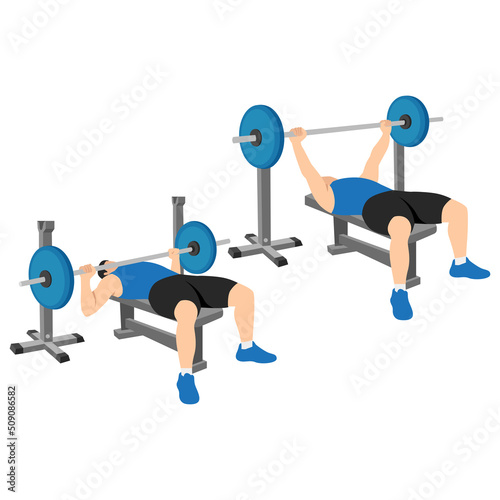 Man doing barbell bench press. Chest Press. flat vector illustration isolated on white background