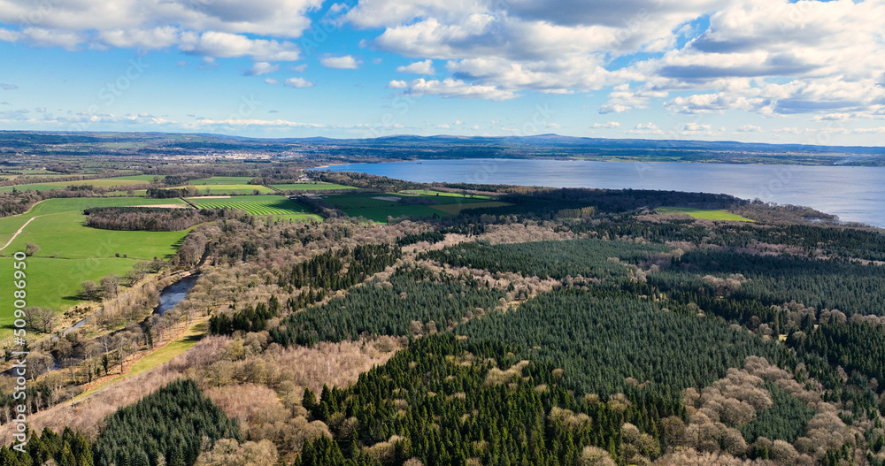 Aerial Photo of Randalstown Forest on Lough Neagh Antrim Northern Ireland