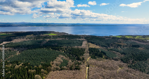 Aerial Photo of Randalstown Forest on Lough Neagh Antrim Northern Ireland