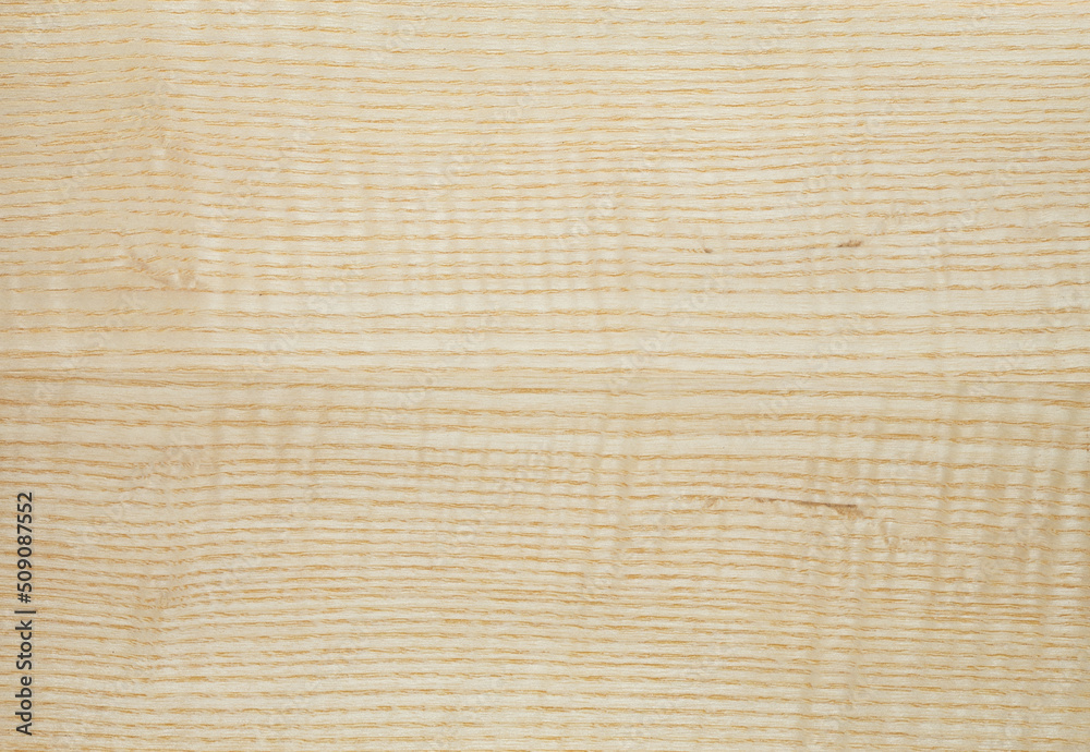 Wood texture background. Wooden texture for design and decoration