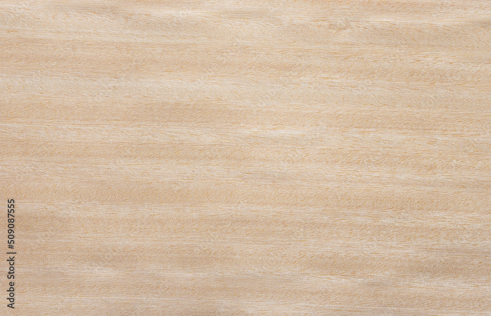 Wood texture background. Wooden texture for design and decoration Wood texture background. Wooden texture for design and decoration