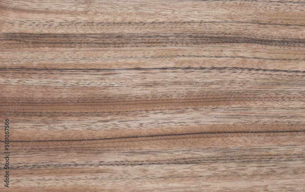 Wood texture background. Wooden texture for design and decoration Wood texture background. Wooden texture for design and decoration