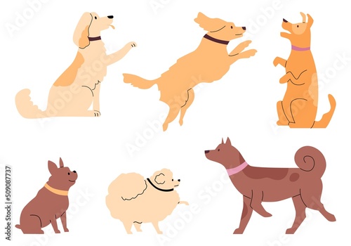 Set of different dogs various poses flat style  vector illustration