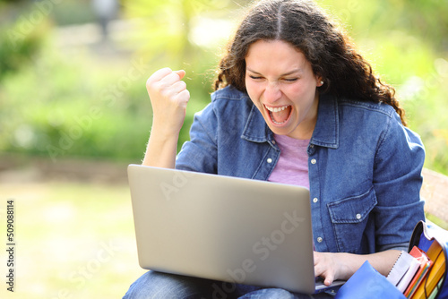 Excited woman checking laptop sitting in a park