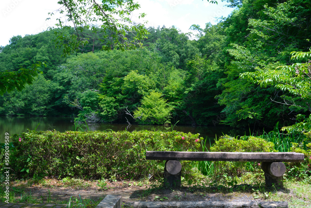 石のベンチと初夏の風景 石のベンチと初夏の風景