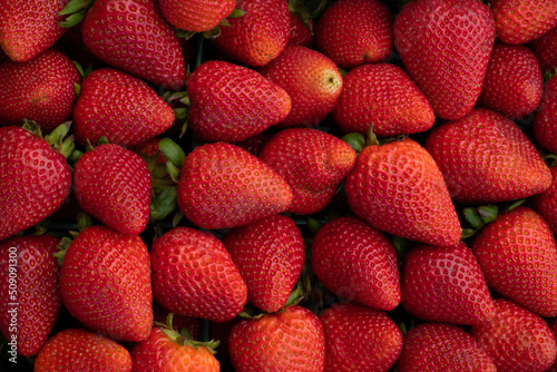 Fresh red strawberries pattern closeup