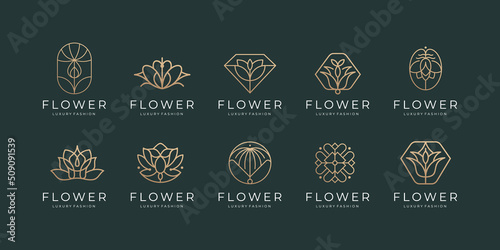 icon set flower line minimalist. Abstract beauty flower logo design collection.