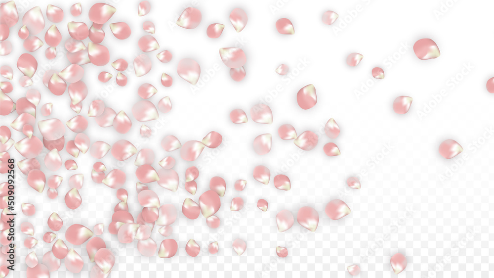 Pink Vector Realistic Petals Falling on Transparent Background. Spring Romantic Flowers Illustration. Flying Petals. Sakura Spa Design. Blossom Confetti. Design Elements for Wedding Decoration. Pink Vector Realistic Petals Falling on Transparent Background. Spring Romantic Flowers Illustration. Flying Petals. Sakura Spa Design. Blossom Confetti. Design Elements for Wedding Decoration.