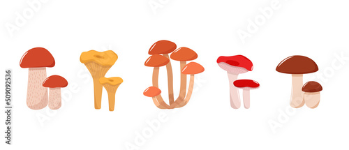 Fotografie, Obraz Set of mushroom icons vector