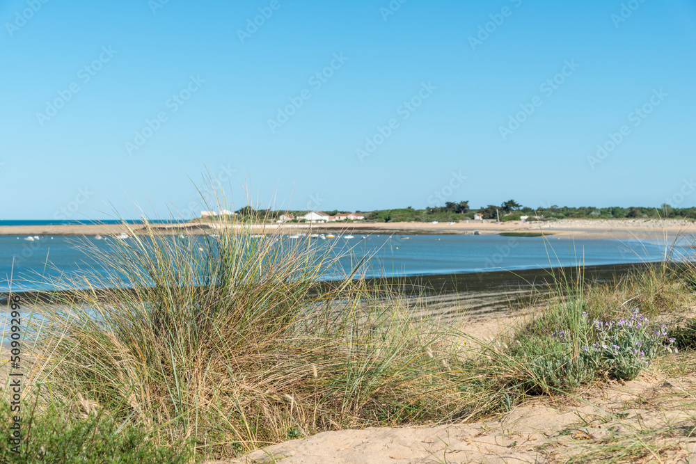 Ile d’Oléron (Charente-Maritime, France), vue sur la plage de la Perroche à Dolus d'Oléron