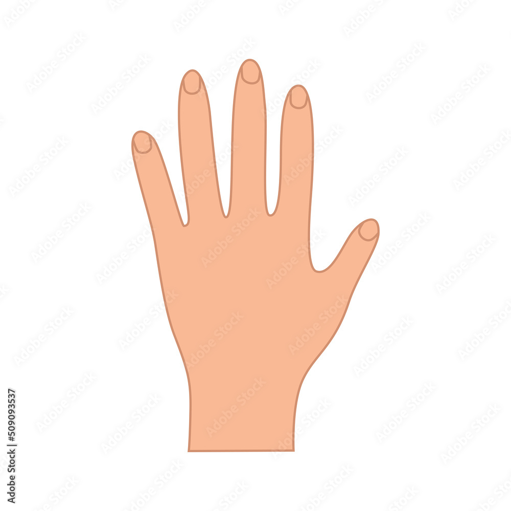 Palm five fingers up. Hand gesture of greeting, vector illustration of isolate on white. Palm five fingers up. Hand gesture of greeting, vector illustration of isolate on white.