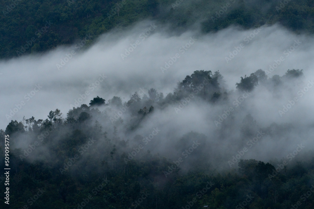 thick clouds between a row of tropical forest hills in Sumatra.