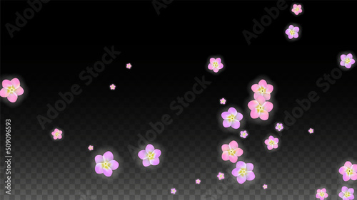 Vector Realistic Pink Flowers Falling on Transparent Background.  Spring Romantic Flowers Illustration. Flying Petals. Sakura Spa Design. Blossom Confetti. Design Elements for Wedding Decoration.