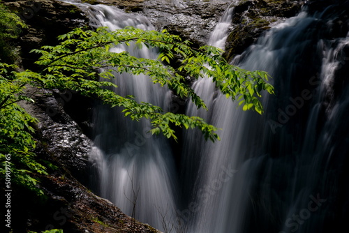 初夏の緑の頃の滝の風景 -多留姫の滝