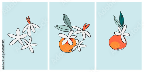 Vector graphic with apple, tangerine, orange. Decor printable art. Contemporary design for prints, posters, stationery, logos, branding, invitations social media posts