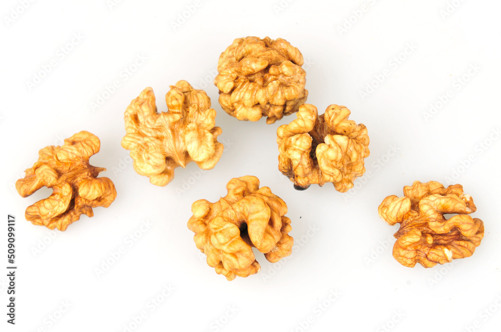 White background of the walnut White background of the walnut