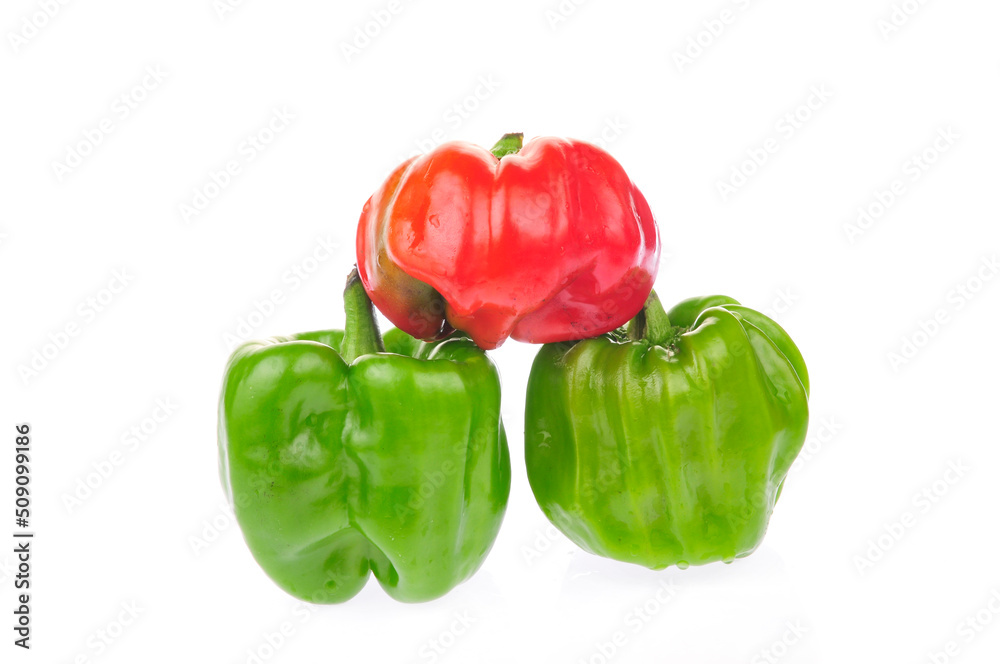 Fresh green peppers