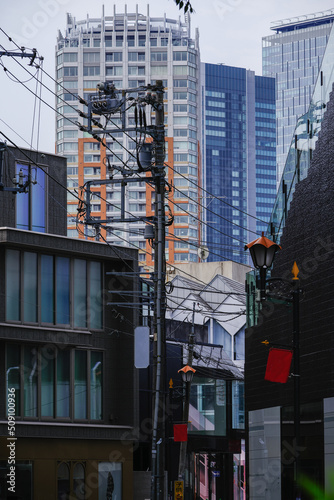 表参道から一歩奥に入った街の風景　キャットストリートなどから広がる入り組んだ区画。有名ショップと住宅が共存している。　神宮前、渋谷区、東京、日本