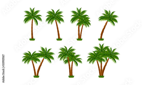 cute coconut tree shape collection © Curut Design Store
