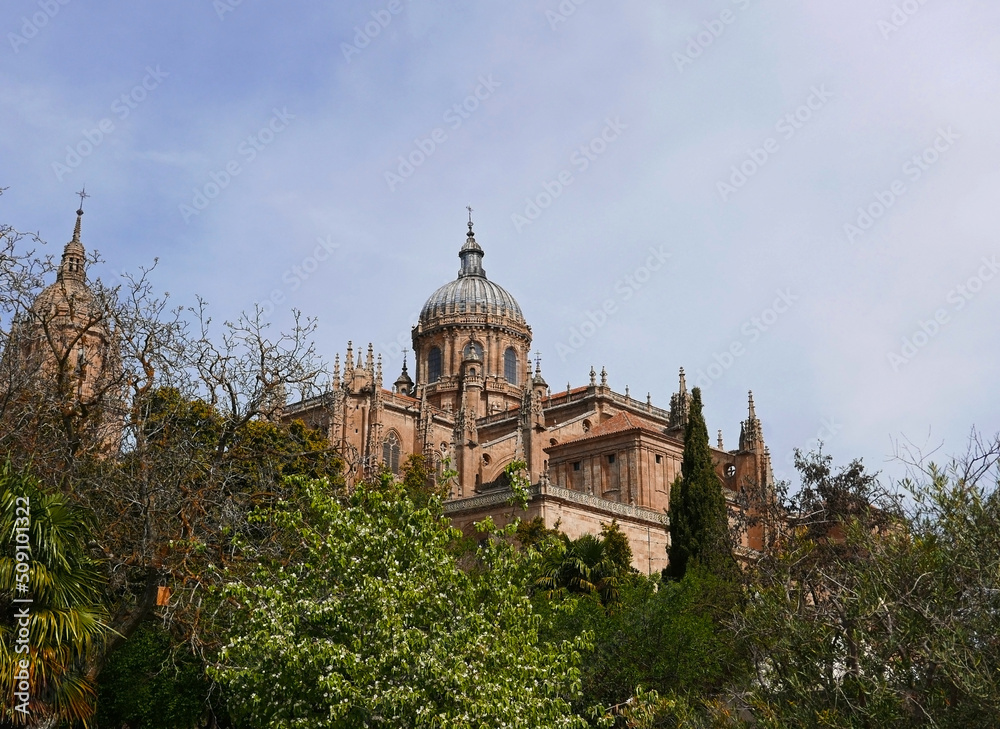 suggestiva vista dell'antica cattedrale a Salamanca in Spagna