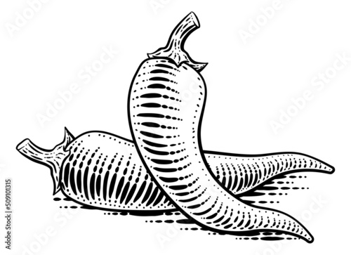 Pepper Vegetable Vintage Woodcut Illustration