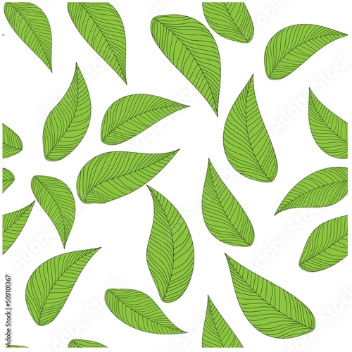 Nature background. Leaf organic concept. Natural layout design background. Beautiful green brochure on white backdrop. © graffiti2108