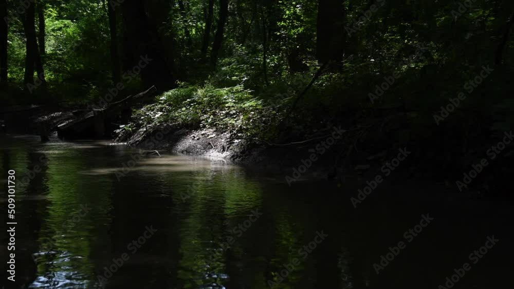 Singing birds and the sound of the river in the green forest Singing birds and the sound of the river in the green forest