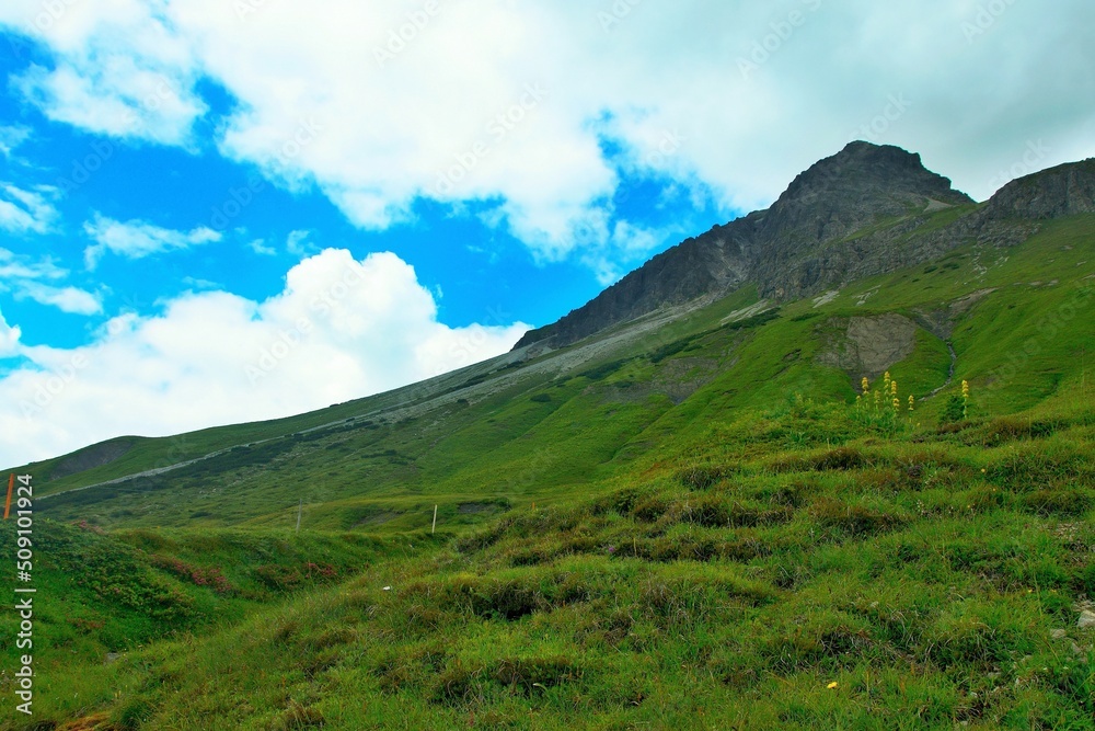 Austrian Alps - view from the footpath from the Stuttgarter Hut to the village of Lech in the Lechtal Alps