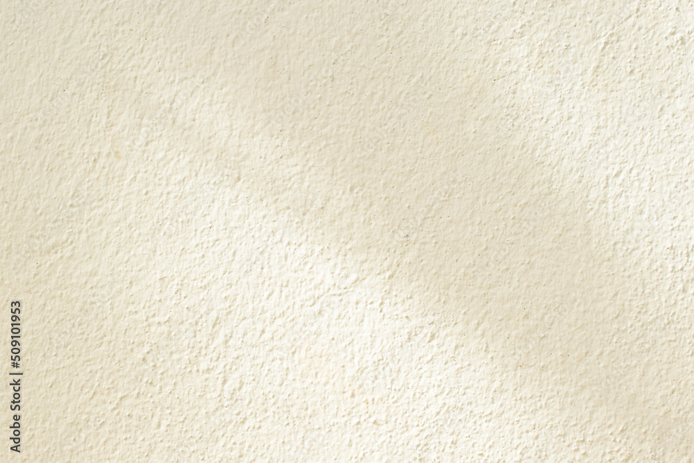 Obraz premium shadow on the wall
