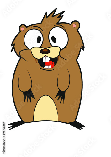 Bóbr